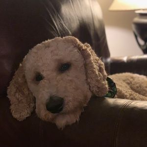 Meet your Posher, Claudia